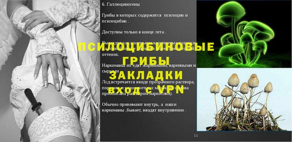 не бодяженный Алексин