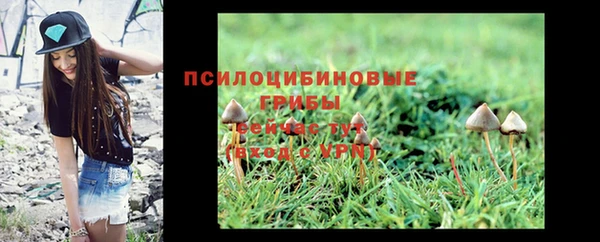 не бодяженный Алексин