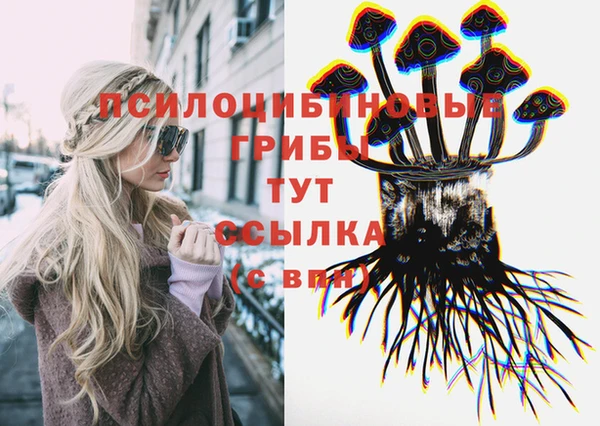 не бодяженный Алексин
