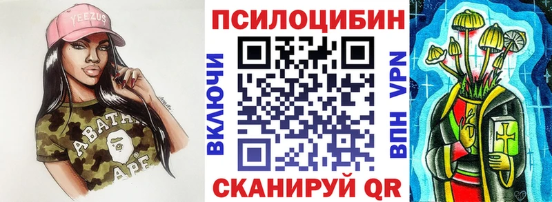 Псилоцибиновые грибы Psilocybe Андреаполь