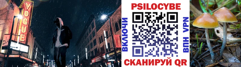 что такое наркотик  Андреаполь  блэк спрут зеркало  Галлюциногенные грибы прущие грибы 