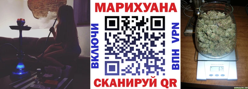 продажа наркотиков  Андреаполь  Бошки марихуана сатива 